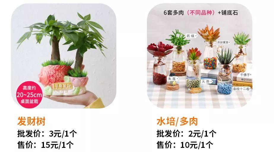 过年怎么赚钱？有什么过年赚钱的项目？  第11张