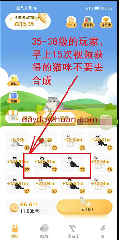 猫咪时间：单干也能每天赚几十元？  第2张