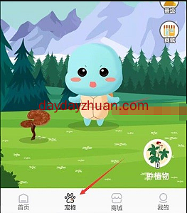 火爆乐园领养宠物做任务涨战斗力，一币5元起怎么玩  第4张