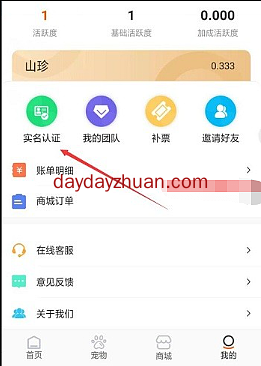 火爆乐园领养宠物做任务涨战斗力，一币5元起怎么玩  第3张