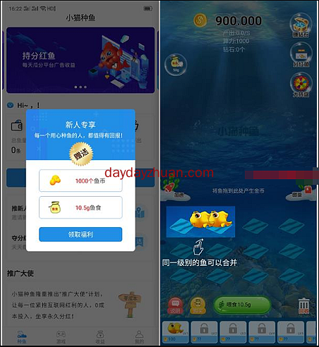 小猫种鱼怎么赚30元，合成项目不止赚3毛  第2张