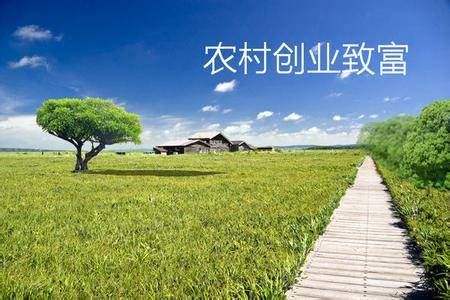 在农村做什么项目能赚钱? 第1张