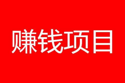 不起眼的偏门赚钱小项目,农村小伙靠他3月赚5万 第1张