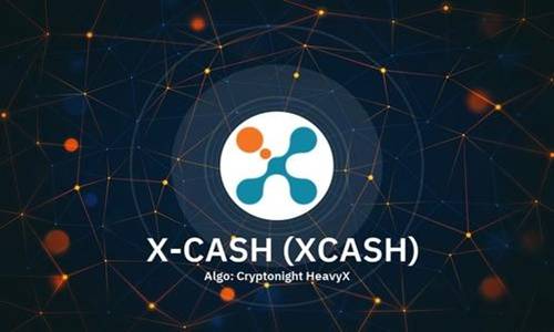 XCASH叉烧币:中国社区空投,每天签到,每周领1000个币! 第1张