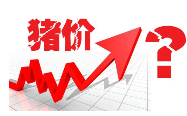 猪肉价格又涨价了，钱不好赚但是很容易花