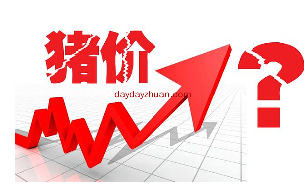 猪肉价格又涨价了，钱不好赚但是很容易花  第1张