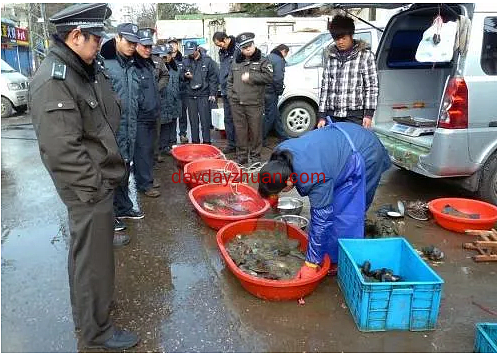 地摊经济为什么火？这些原因和技巧你都知道么？  第2张