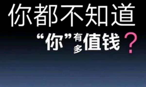 比较快的挣钱方法,赚钱才是正事有钱才是王道  第1张