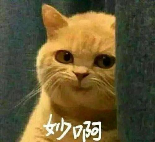转发文章平台客服引流推广的套路  第1张