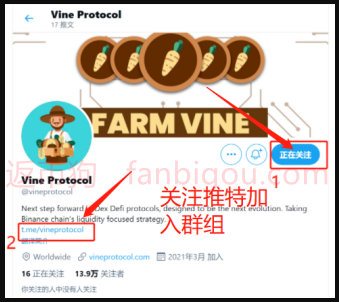 Vine：完成电报任务领500代币空投，价值一千多元是真的吗？