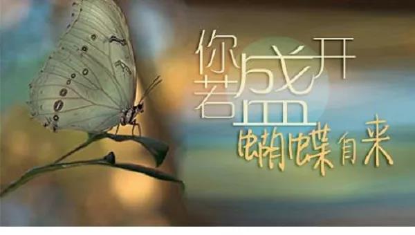 创业时代除了打工上班，为什么普通人很难长时间坚持去做一个项目？  第1张