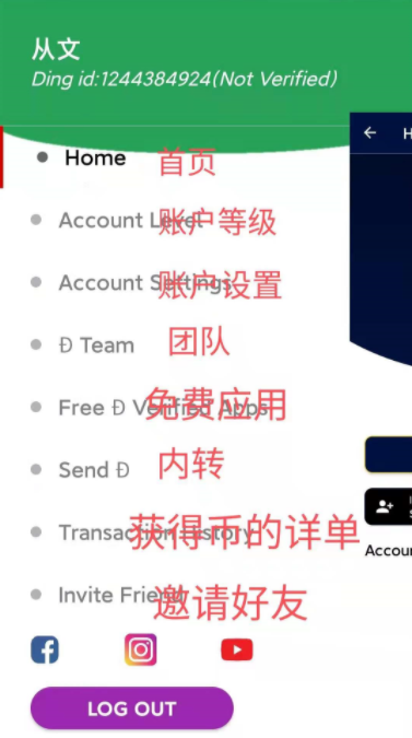 Ding coin钉币，国外项目，Pi模式24小时点一次  第4张