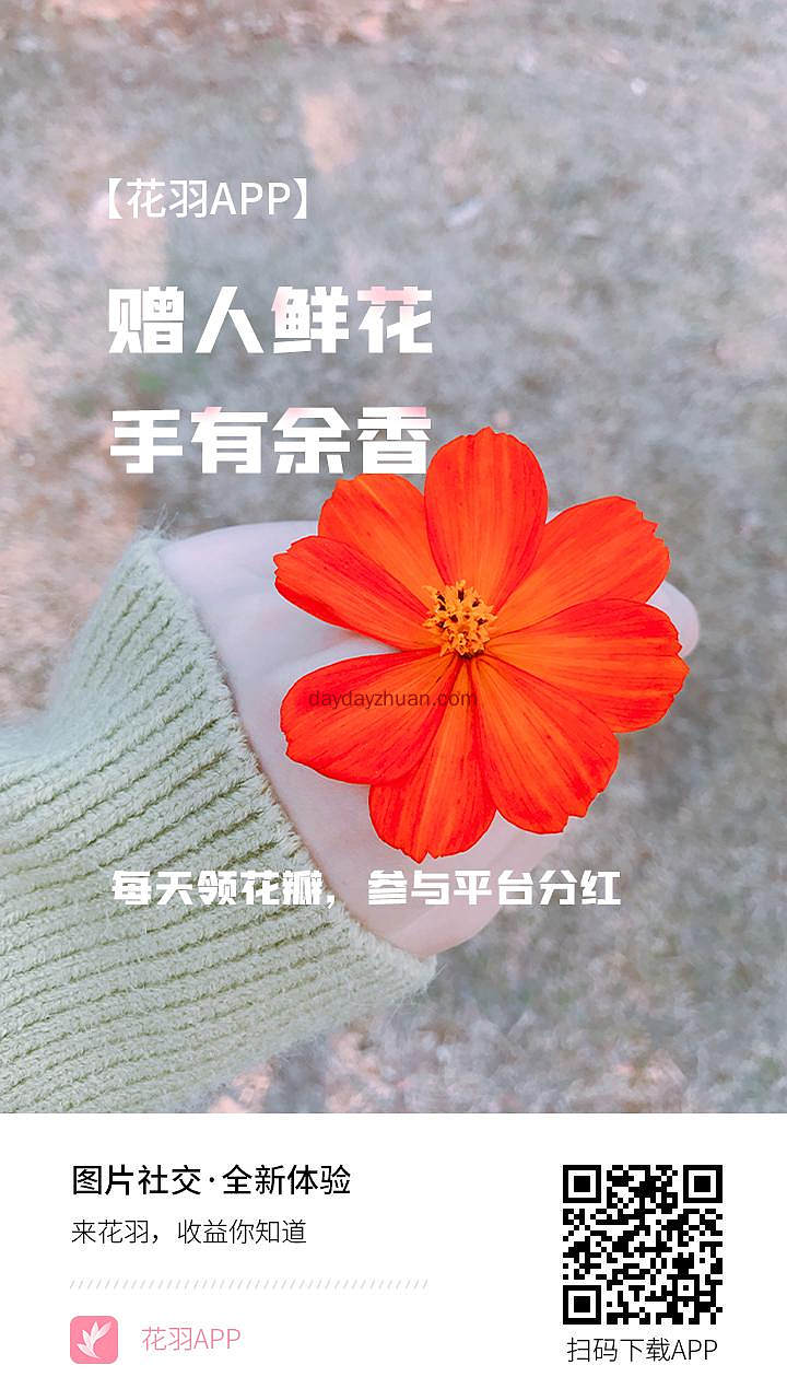 花羽零撸签到分红  第1张